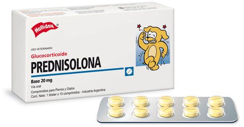 prednisolona_web-b4831b224b0dbfe30a15121884980912-480-0